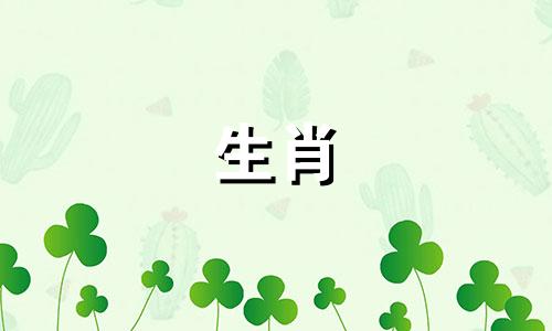 猴生肖与哪些属相相冲相克 属猴的与哪些属相相克，属猴相克的属相有哪些