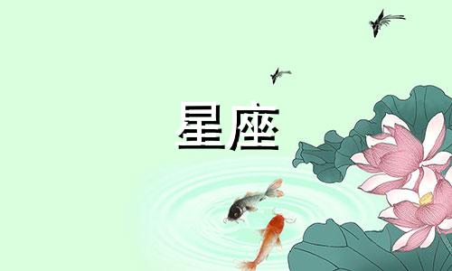 11月12日属于哪个星座?