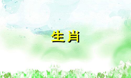 生肖猪的最重要的贵人属相是什么？