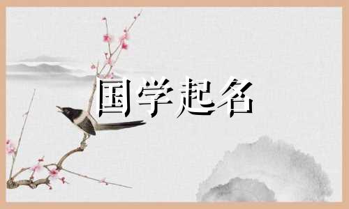 2024年属龙宝宝免费取名字大全