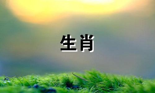 2024年11月份，属狗人的运势将受到上级的赏识和提拔。