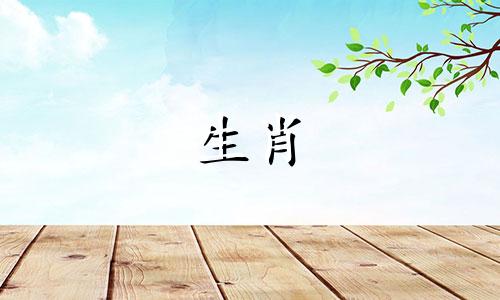 虎年生肖男与哪个属相相冲相克？