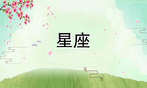 处女座男和狮子座女合适吗