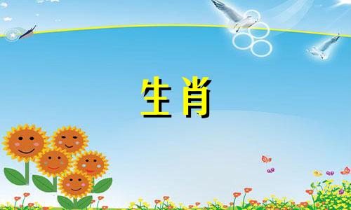 生肖猪的三合六合属相有哪些?