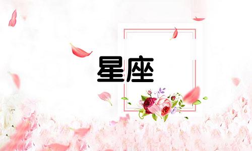 2024年11月18日出生的人属于哪个星座?