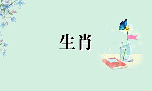 哪个生肖在十二生肖中最沉稳冷静?