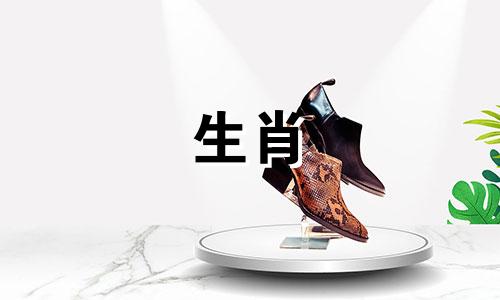 哪些生肖属于双重性格的属相？