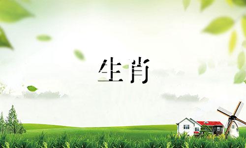 哪些生肖是属虎的三合属相 虎的三合生肖是什么