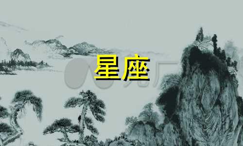 狮子座的最佳配对排名第一