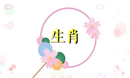 查看十二生肖中猪的相克关系