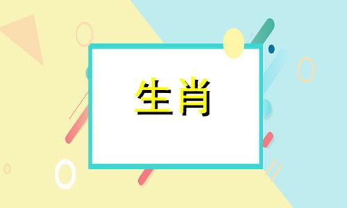 土拨鼠最合适的生肖是  拥有大量财富和土地的猜谜动物，统治一方并独占食物的生肖