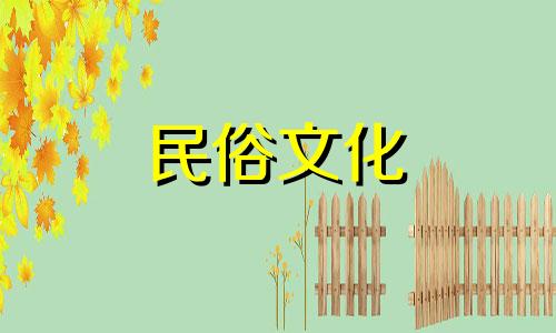 有哪些关于榆树风水禁忌的图片 房前屋后种树的禁忌