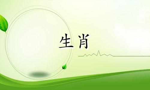 属猪女出嫁送亲时，什么属相的伴郎最好？属猪的女生结婚时，应该找什么属相的