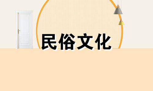风水禁忌图解大全：乌龟标本能否改变风水，海龟标本在家中的正确摆放方法