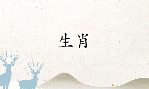 分析十二生肖的优点和缺点 探讨12个生肖各自的优点和缺点