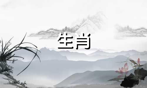 兔的最佳配偶属相是什么？