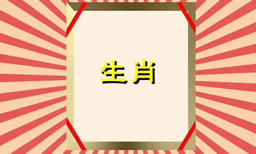 汪文斌的生肖属相在新媒体中有何文化意义？