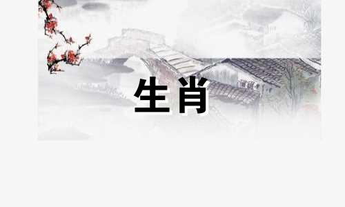 生肖属相是根据阴历还是阳历来计算的？