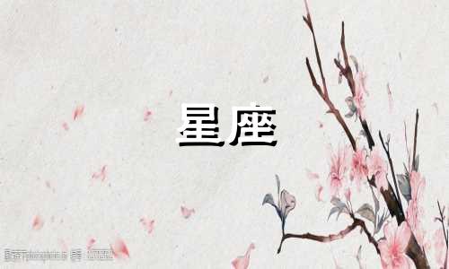 查询星座来源分析图的最佳网站 最准确的星盘网站，哪个专门研究星座的网站比较好