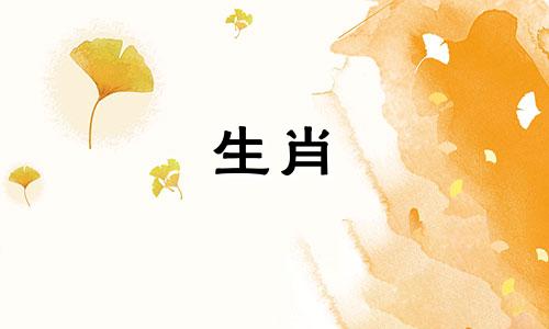 在十二生肖中，哪个属相被认为是最厉害的 大家认为十二生肖哪个方面最出色