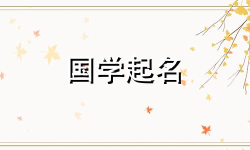 如何为餐饮有限公司取名，打造最热门的餐饮公司名称