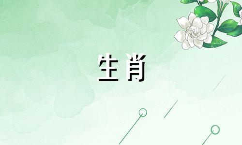 在十二生肖中，哪个属相最适合选择生肖卡？