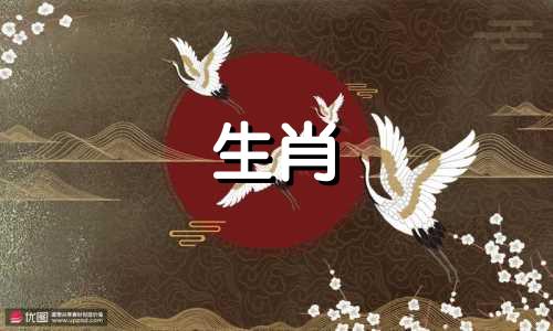 杨幂的生肖是什么？她是哪年出生的？