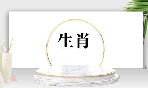 适合上班的生肖狗男人属相 属狗的男孩子最佳属相,1982年属狗的男生和什么属相最配