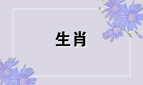在十二生肖中，兔和鸡哪个属相更大？ 在十二生肖中，哪个属相被认为是大属相？12生肖