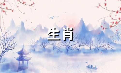 猪属于什么生肖和五行属性？