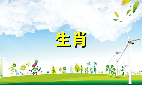 最近十年的生肖是什么 2020年的属相是什么