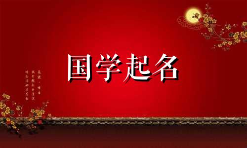 2023年11月13日圣诞节出生的男孩,他的命运将会如何?为这个前程光辉的男宝宝取