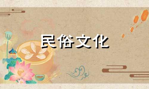 灵芝的功效与作用及禁忌