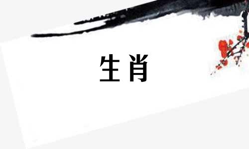 属蛇的2024年的运势怎么样 属龙本命年2024年的运气