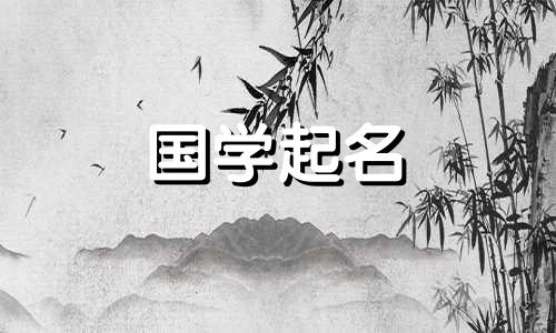 2023年11月13日圣诞节出生的女孩，五行属什么？独特出众的女孩名字