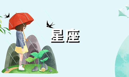 双子座在2024年遭遇了不幸的命运。