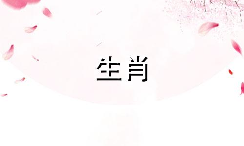 与猪不冲突的生肖属相 猪与哪些属相冲突,属猪和什么属相不和谐