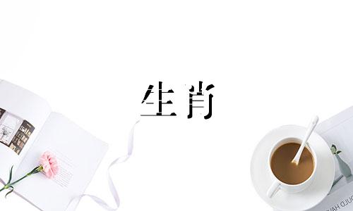 请描述所属相打一生肖 请描述所里的动物是什么生肖