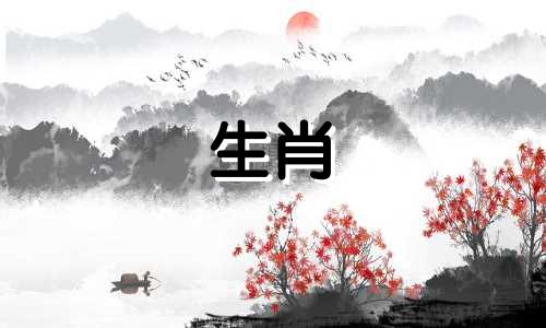 在十二生肖中，哪个属相最好：鼠还是猪？