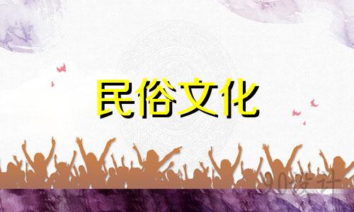 在线视频大全：樟树种植的风水宜忌