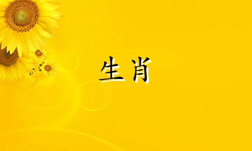 剪纸艺术中的兔生肖象征意义 十二生肖兔的文化内涵