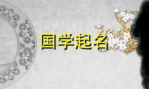 寓意吉祥的龙年男孩名字，为新生儿提供免费取名服务
