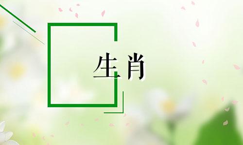 2024年属鼠幸运色是什么颜色的 2024属鼠命运怎样