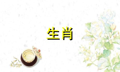 属马人在2024年的运势怎么样 2024属马的运势和财运