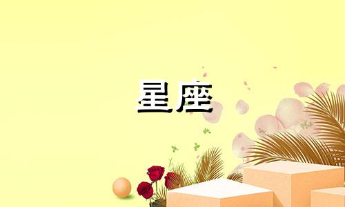 聂泽宁是《我的小尾巴2》中的男主角,他与星座分析有关。