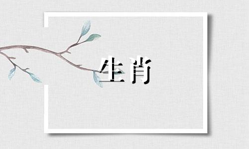 有哪些生肖适合佩戴开光手链 属羊的人应该选择什么样的手链