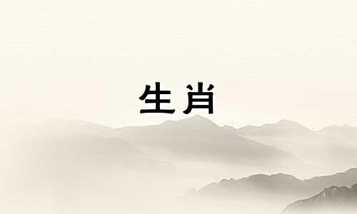 圣字代表哪个生肖的动物？