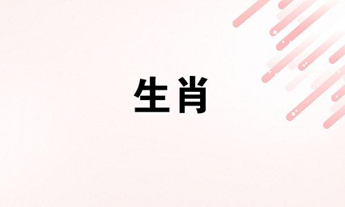 哪些生肖属于狗的属相,具有包容宽厚的特点 在面对问题时能够宽容大度,不计较得失,性格安静温和