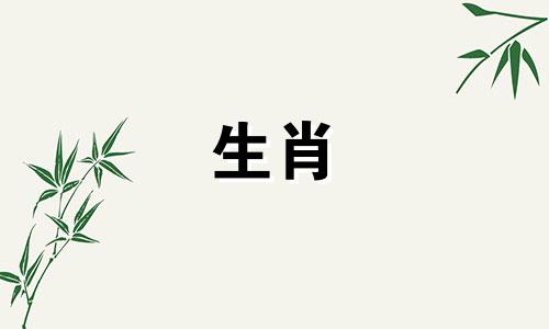 明星属狗婚配属相是什么生肖 属狗的和哪个属相最合适