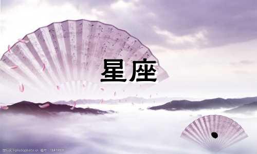 "男性十二星座适合养什么猫？来看看你的命运之猫！"